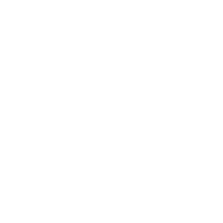 Lotus Icon